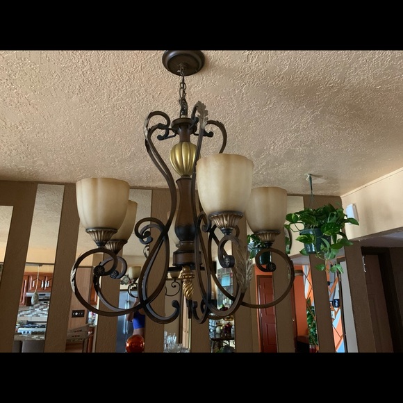Canderalia and 3 lights